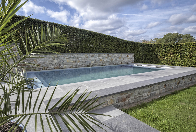 Piscine naturelle à Falise Belgique