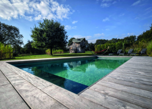 piscine naturelle privée