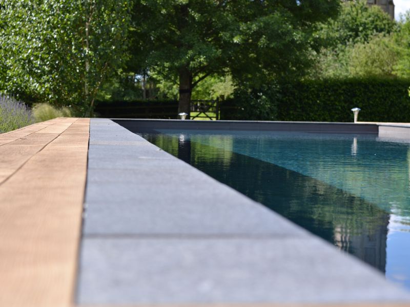 piscine vitii naturelle sans plante